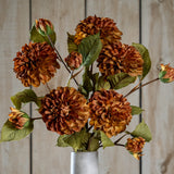 Hill Interiors Deep Mustard Dahlia Stem arranged with multiple rounded rust-toned blooms, buds and green leaves in a pale vase against wood panelling.