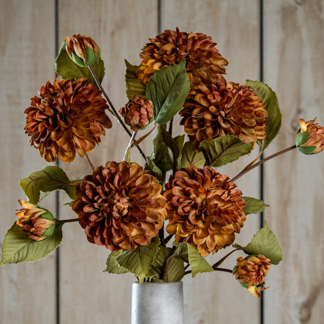 Hill Interiors Deep Mustard Dahlia Stem arranged with multiple rounded rust-toned blooms, buds and green leaves in a pale vase against wood panelling.