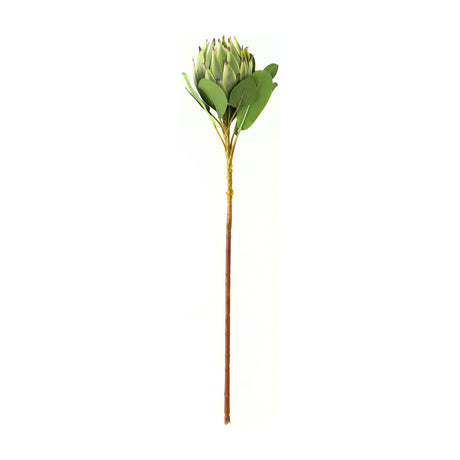 Hill Interiors Large Green Protea faux stem with layered sage petals, veined oval foliage and a slender brown plastic stem on a white background.