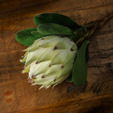 Hill Interiors Large White Protea faux stem with pointed cream petals tipped in blush and broad green leaves, resting on a rustic wooden surface.
