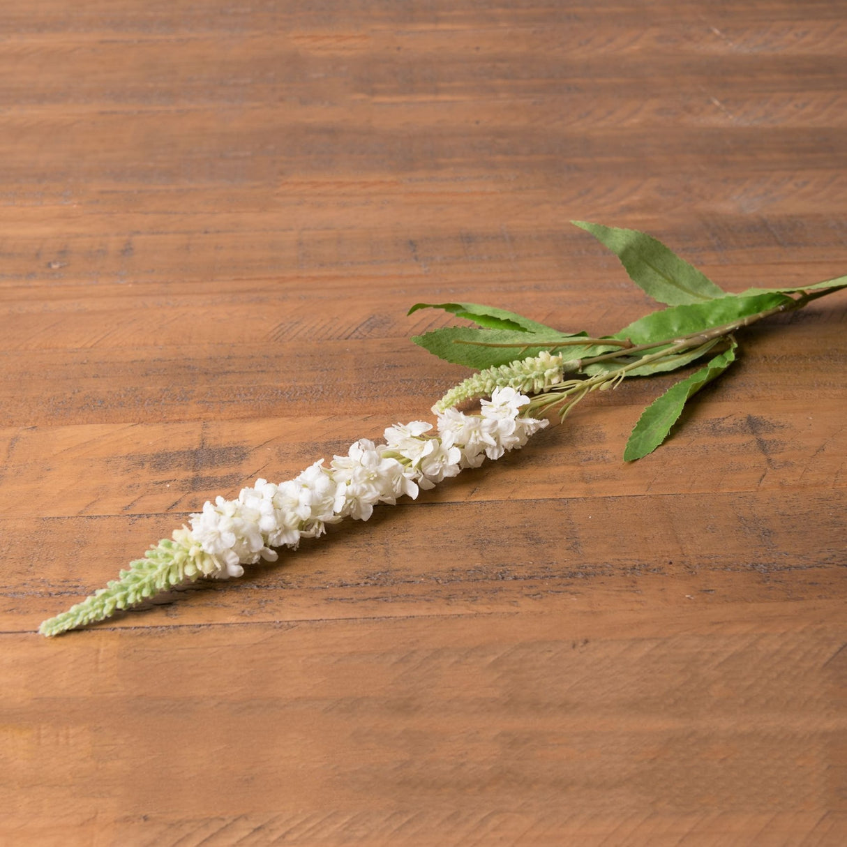 Hill Interiors White Veronica Stem laid diagonally on a wooden surface, showing the tapering spire of small white blooms and slim green leaves.