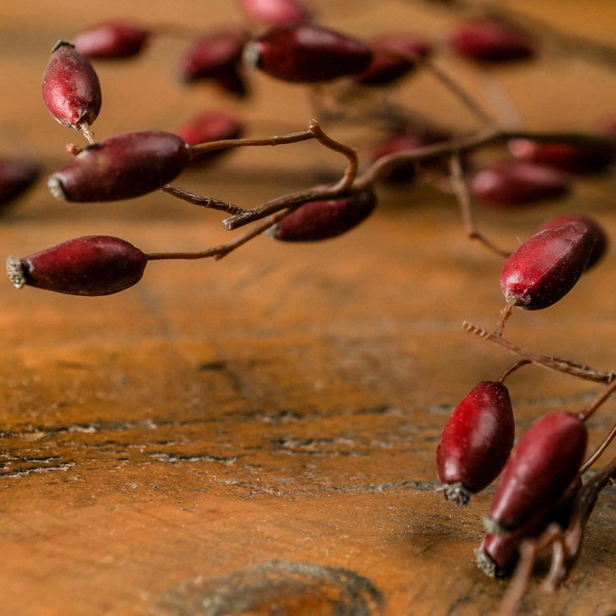 Close-up of Hill Interiors Burgundy Rosehip Stem showing glossy deep red berries on slender brown branches resting on a rustic wooden surface.