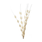 Hill Interiors Bouquet of Dried Thlaspi Arvense faux stems in soft white with flat coin-shaped seed pods on slender branches, shown on a plain white background.
