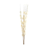 Hill Interiors bouquet of faux dried thlaspi arvense with white coin-shaped seed pods along slender stems, shown against a plain white background.