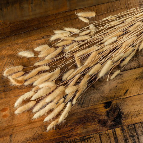 Hill Interiors Bouquet of Tall Bunny Tails, faux flower stems with fluffy oat-white plumes on slender arched stems, laid across a rustic wooden surface.