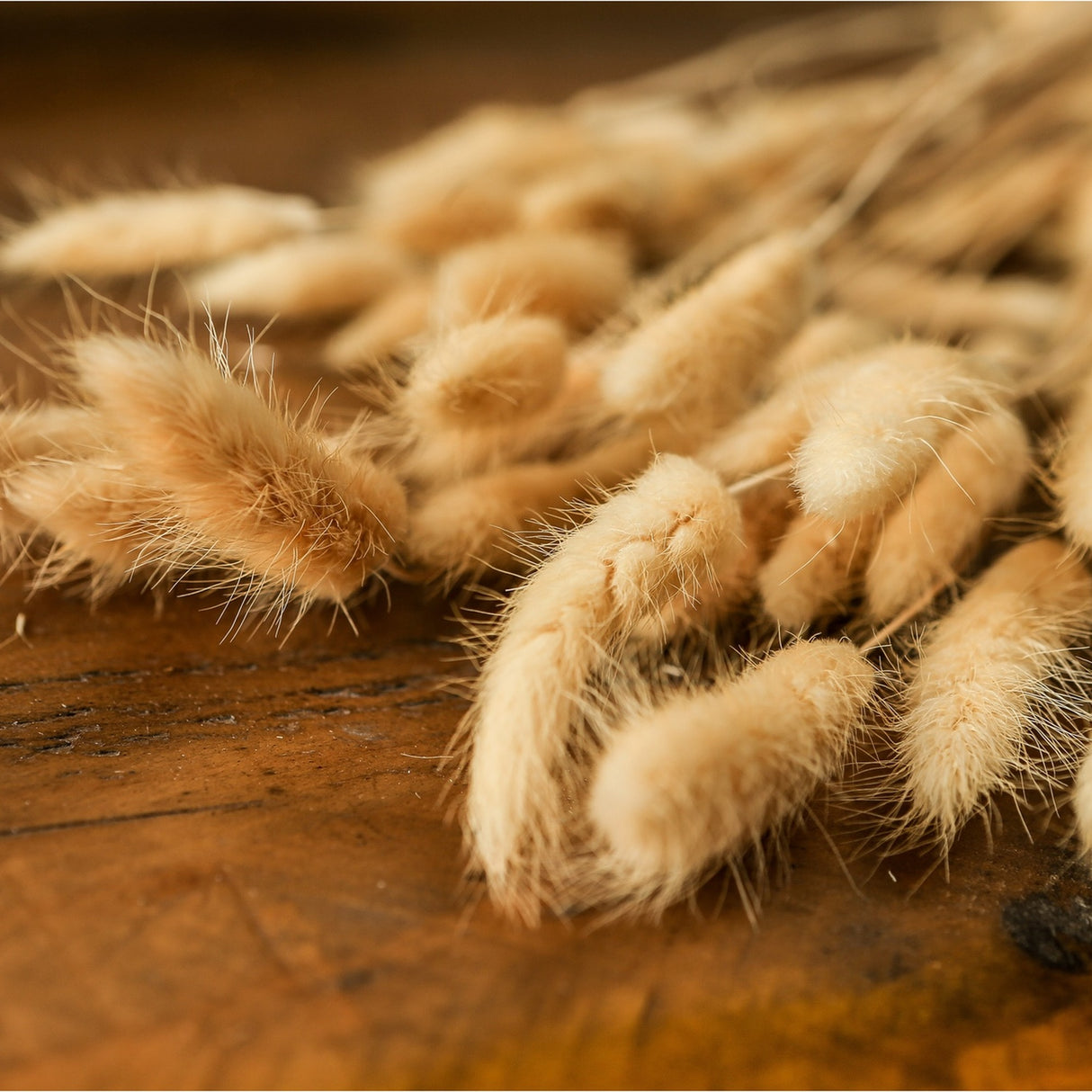 Close-up of Hill Interiors Bouquet Of Tall Bunny Tails faux flower stems, showing fluffy oat-white plumes resting on a warm wooden surface.