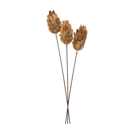 Hill Interiors Bouquet of Dried Protea with three brown faux protea heads on slim stems, showing textured layered bracts, against a plain white background.