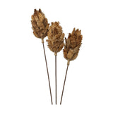 Hill Interiors Bouquet of Dried Protea with three brown faux protea stems showing textured layered bracts on slim stems, set against a plain white background.