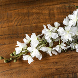 Hill Interiors tall white delphinium stem laid on a rustic wooden surface, showing clustered ruffled white florets, buds and slim green leaves along the stalk.