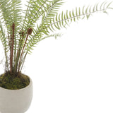 Hill Interiors White Potted Boston Fern with pale arching plastic fronds and mossy base in a small white pot, shown against a plain white background.