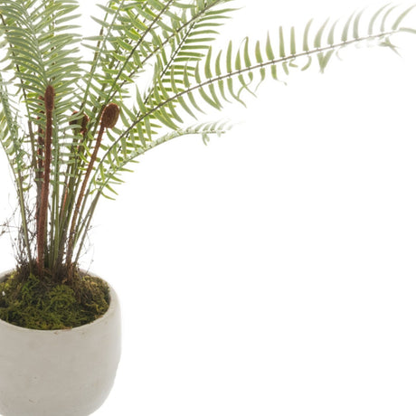 Hill Interiors White Potted Boston Fern with pale arching plastic fronds and mossy base in a small white pot, shown against a plain white background.