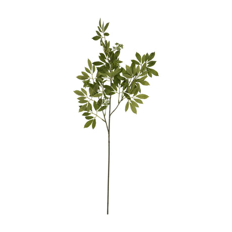 Hill Interiors Long Fennel Stem faux plant with slender branches and serrated green leaves on a tall stalk, shown against a plain white background.