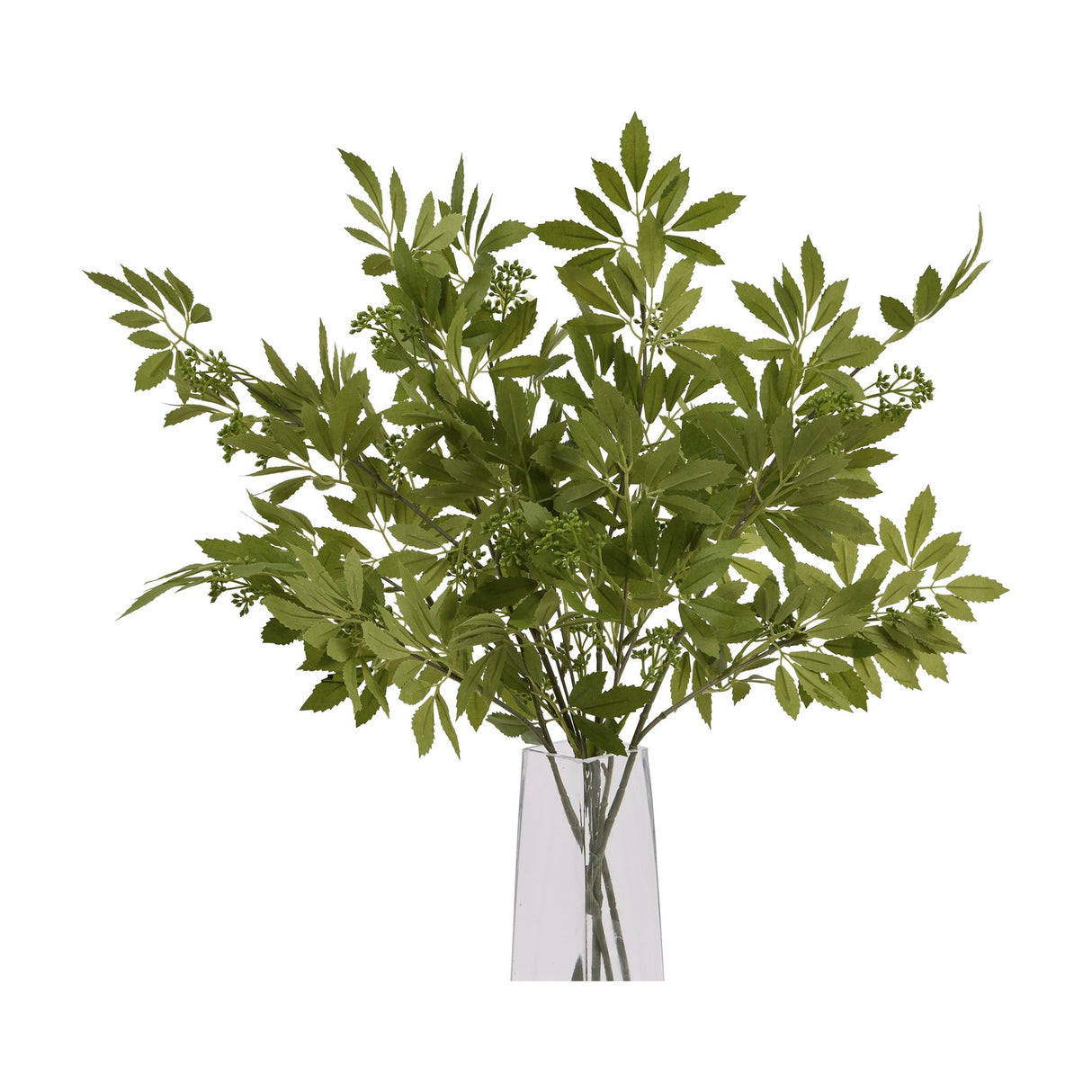 Hill Interiors Long Fennel Stem faux plant with green serrated leaves and small bud clusters, arranged in a slim clear glass vase on a white background.