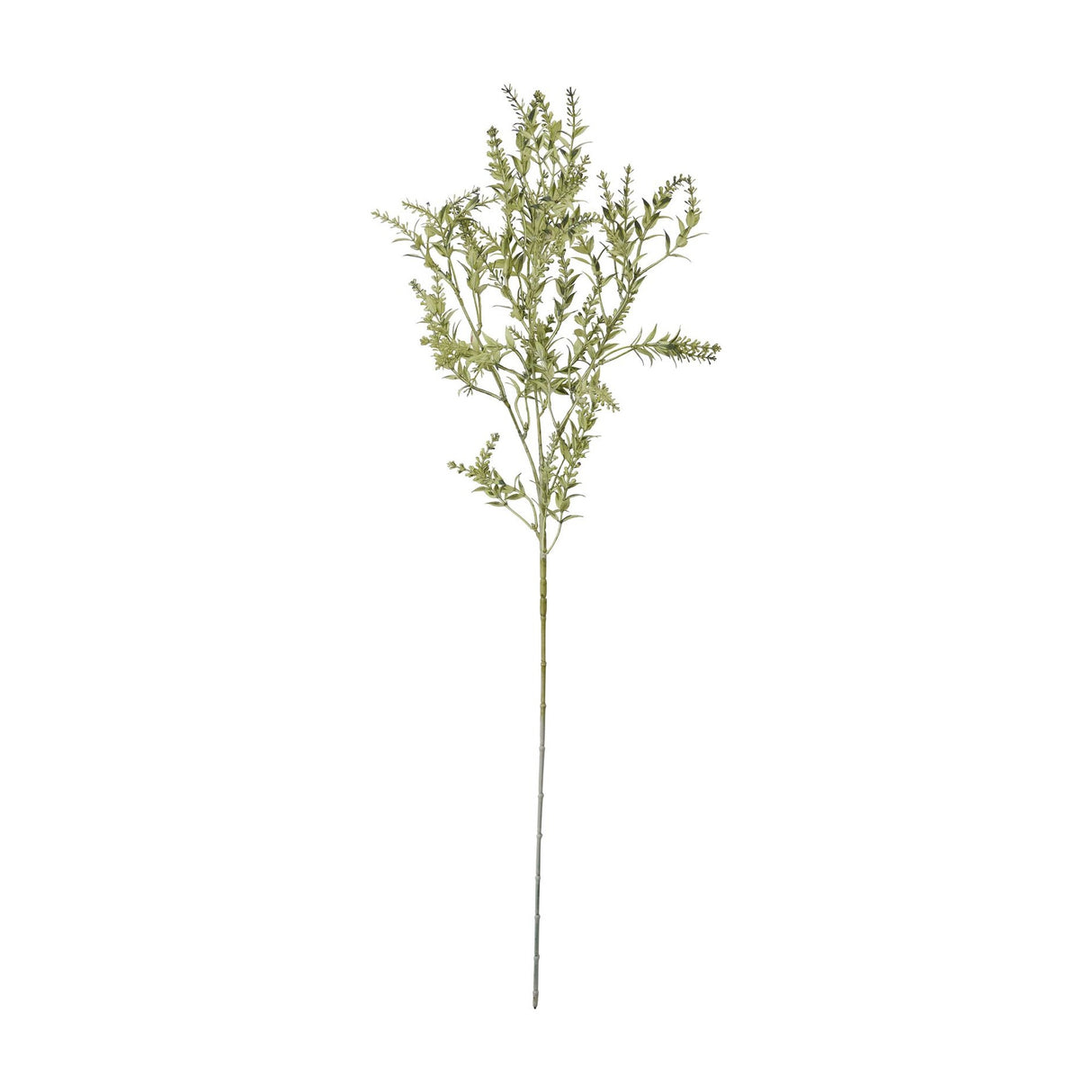 Hill Interiors Broom Stem faux plant with slender green foliage and needle-like leaves fanning along tall upright branches, shown on a plain white background.