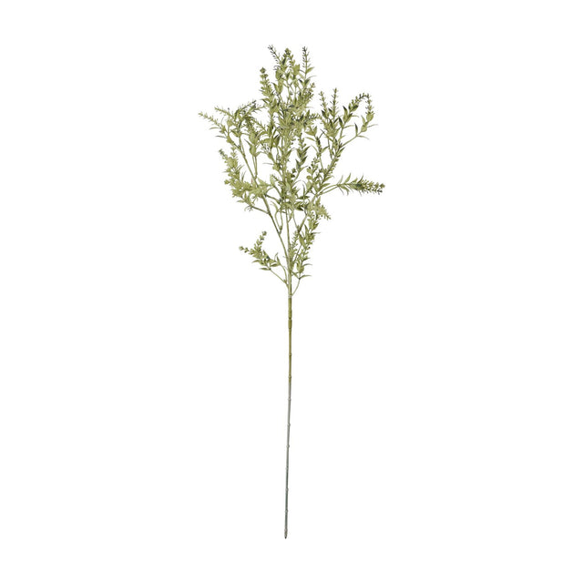 Hill Interiors Broom Stem faux plant with slender green foliage and needle-like leaves fanning along tall upright branches, shown on a plain white background.