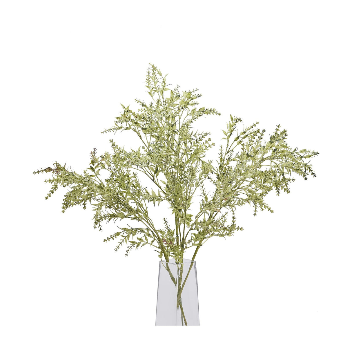 Hill Interiors Broom Stem faux plant with tall upright branches of fine green needle-like foliage in a clear tapered glass vase on a white background.