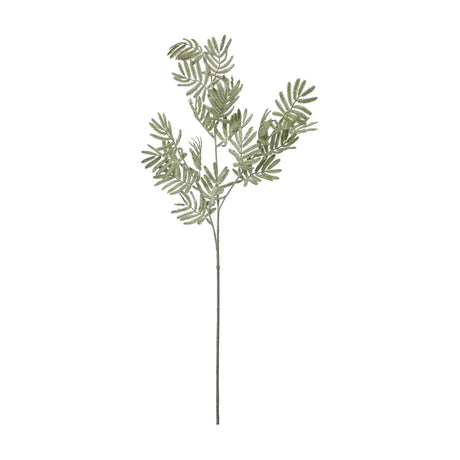 Hill Interiors Silver Wattle Leaf faux foliage stem with fine, feathery leaflets in a dusted silver-green tone, shown against a plain white background.