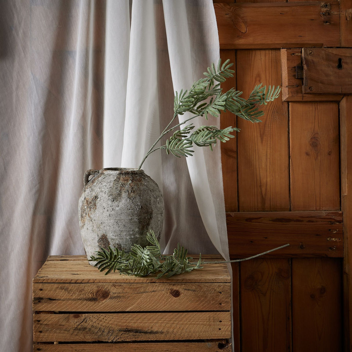 Hill Interiors Silver Wattle Leaf faux foliage stem displayed in a rustic stone urn on a wooden crate against linen drapes and timber panelling.