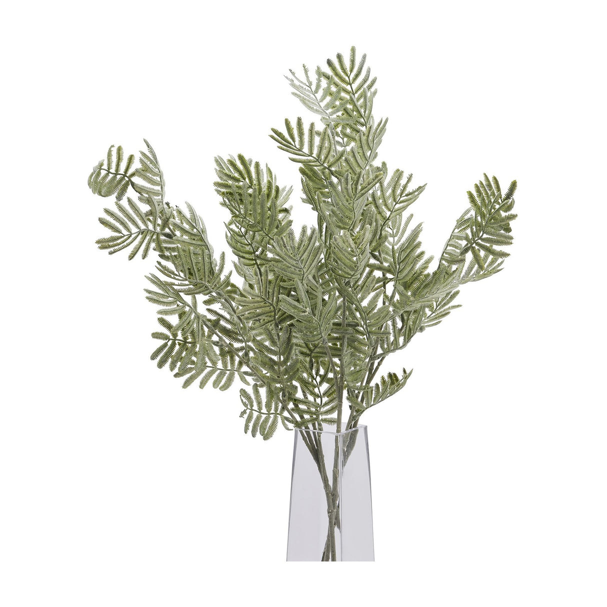 Hill Interiors Silver Wattle Leaf faux foliage stems with feathery frond-like leaflets in a soft silver-green tone, arranged in a clear glass vase.