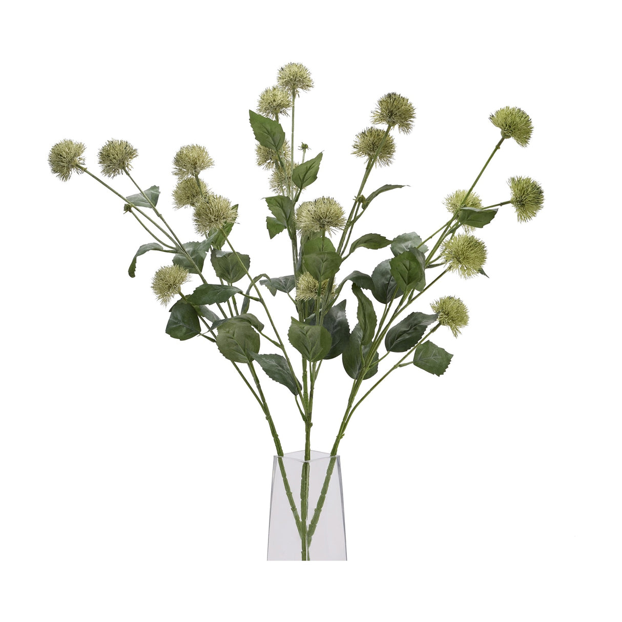 Hill Interiors Thistle Globe Stem with spiky green globe heads and leafy foliage arranged in a clear glass vase against a white background.