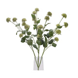 Hill Interiors Thistle Globe Stem with spiky green globe heads and leafy foliage arranged in a clear glass vase against a white background.