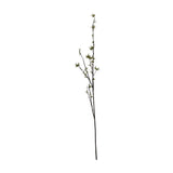 Hill Interiors Green Berry Willow Stem, a tall faux foliage branch with slender green leaves and small berries on an arched stem, shown on a white background.