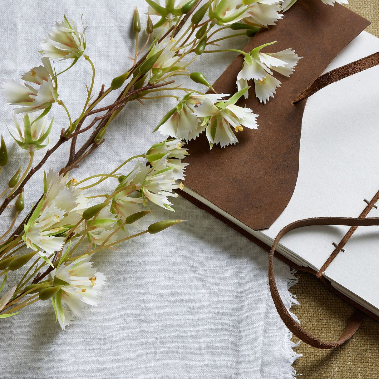 Hill Interiors Elaeocarpus Stem with delicate white blooms and green buds resting on linen fabric beside an open leather-bound journal.