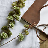 Hill Interiors Tall Green Hops Stem with cascading sage cone-shaped blooms laid on white linen beside a brown leather-bound journal with blank pages.