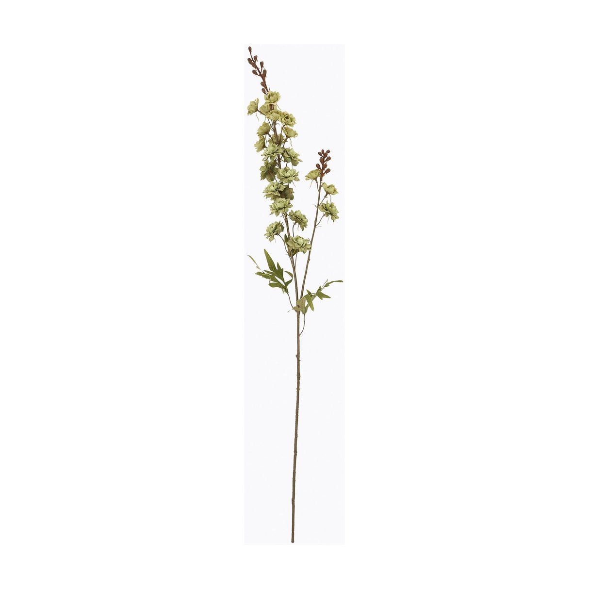 Hill Interiors Tall Green Hops Stem, a faux flower branch with sage cone-shaped blooms and small leaves on a slender stem, on a white background.