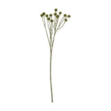 Hill Interiors Green Craspedia Stem faux flower with slender branching stalks topped by round drumstick-shaped green bloom clusters, on a white background.