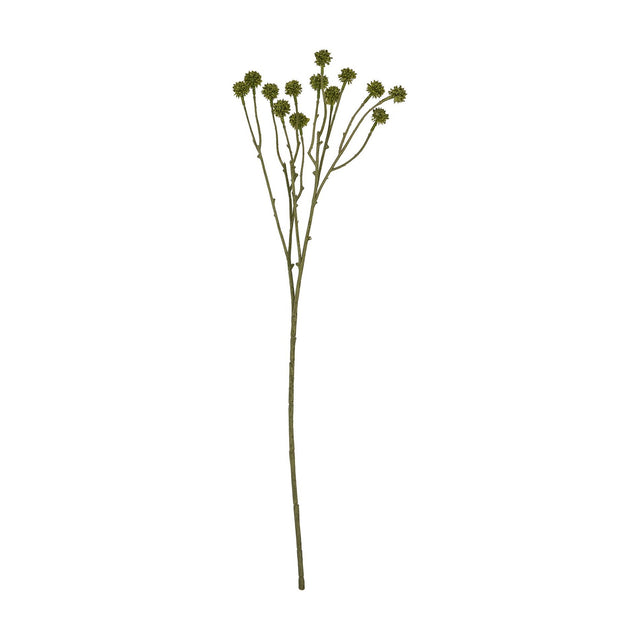 Hill Interiors Green Craspedia Stem faux flower with slender branching stalks topped by round drumstick-shaped green bloom clusters, on a white background.