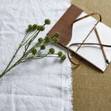 Hill Interiors Green Craspedia Stem on white linen beside a leather notebook and pencil, showing slender stalks topped with round green drumstick blooms.
