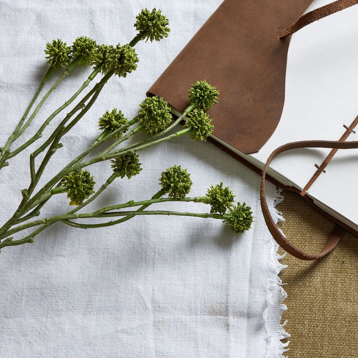 Hill Interiors Green Craspedia Stem with round drumstick blooms laid on white linen beside a brown leather-bound journal.