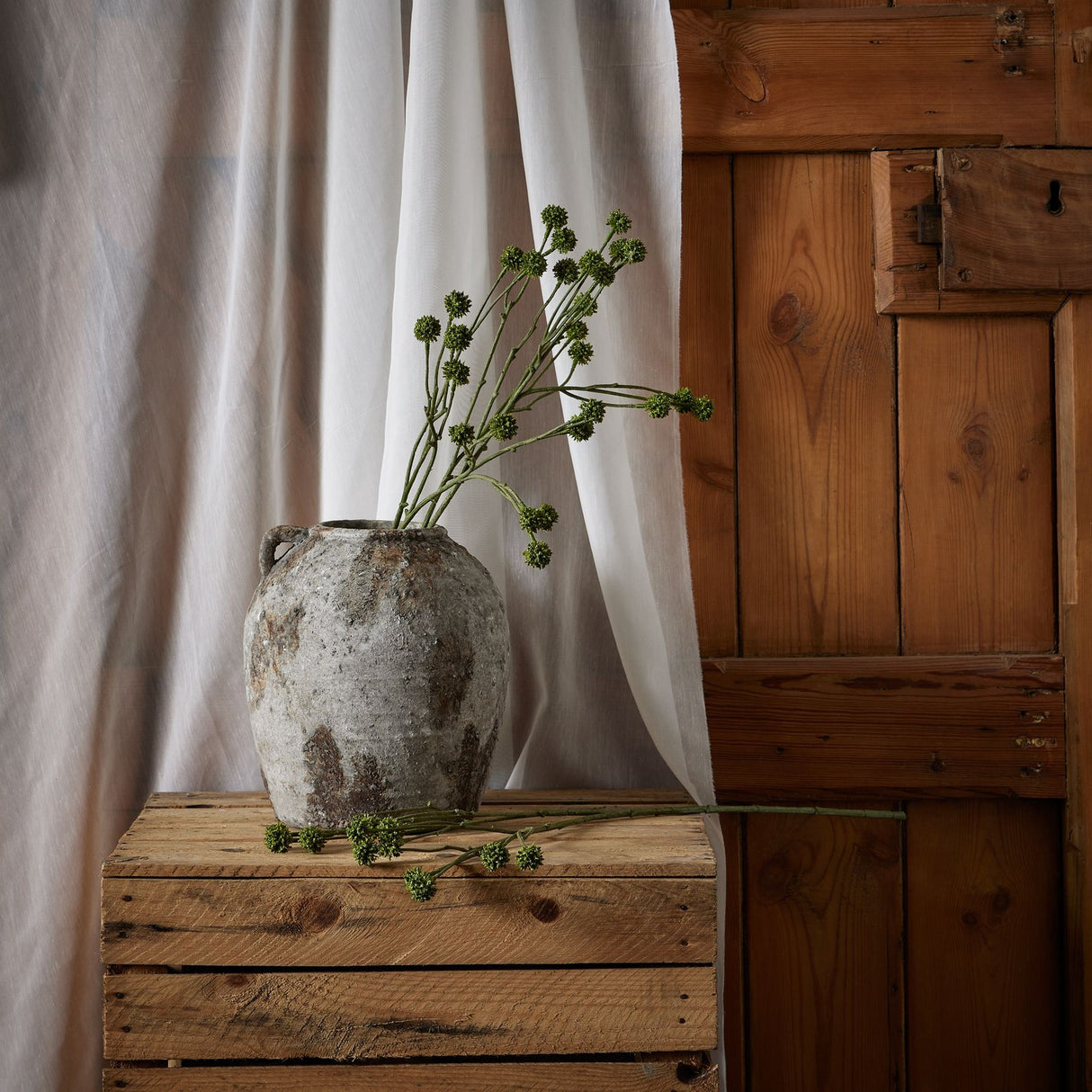 Hill Interiors Green Craspedia Stems arranged in a weathered stone urn on a wooden crate, with sheer curtain and rustic wood panel backdrop.