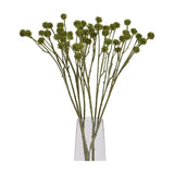 Hill Interiors Green Craspedia Stem faux flower arrangement with slender green stalks and round drumstick blooms in a clear glass vase.