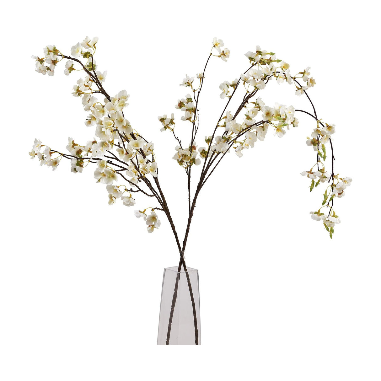 Hill Interiors White Japanese Blossom faux stems with delicate white flowers on slender brown branches in a tall clear vase.