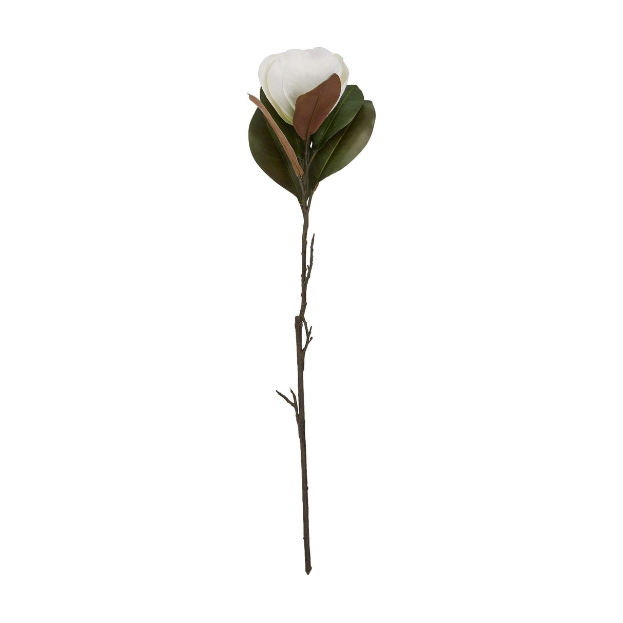 Hill Interiors White Magnolia Stem with a single cupped white bloom, dark green leaves, and a long bare branch stem on a white background.