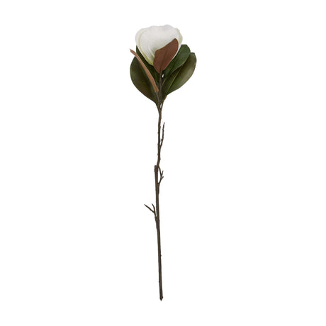 Hill Interiors White Magnolia Stem with a single cupped white bloom, dark green leaves, and a long bare branch stem on a white background.