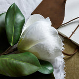 Hill Interiors White Magnolia Stem with cupped white petals and glossy green leaves, styled beside a brown leather-bound journal on linen fabric.