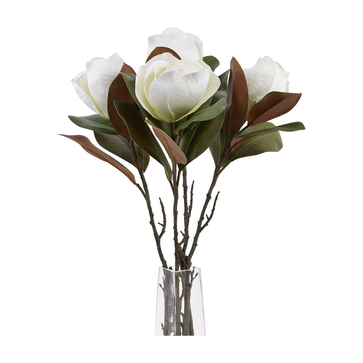 Hill Interiors White Magnolia Stem arrangement with open white blooms and green and brown leaves in a clear glass vase on a white background.