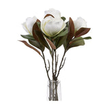 Hill Interiors White Magnolia Stem arrangement with open white blooms and green and brown leaves in a clear glass vase on a white background.
