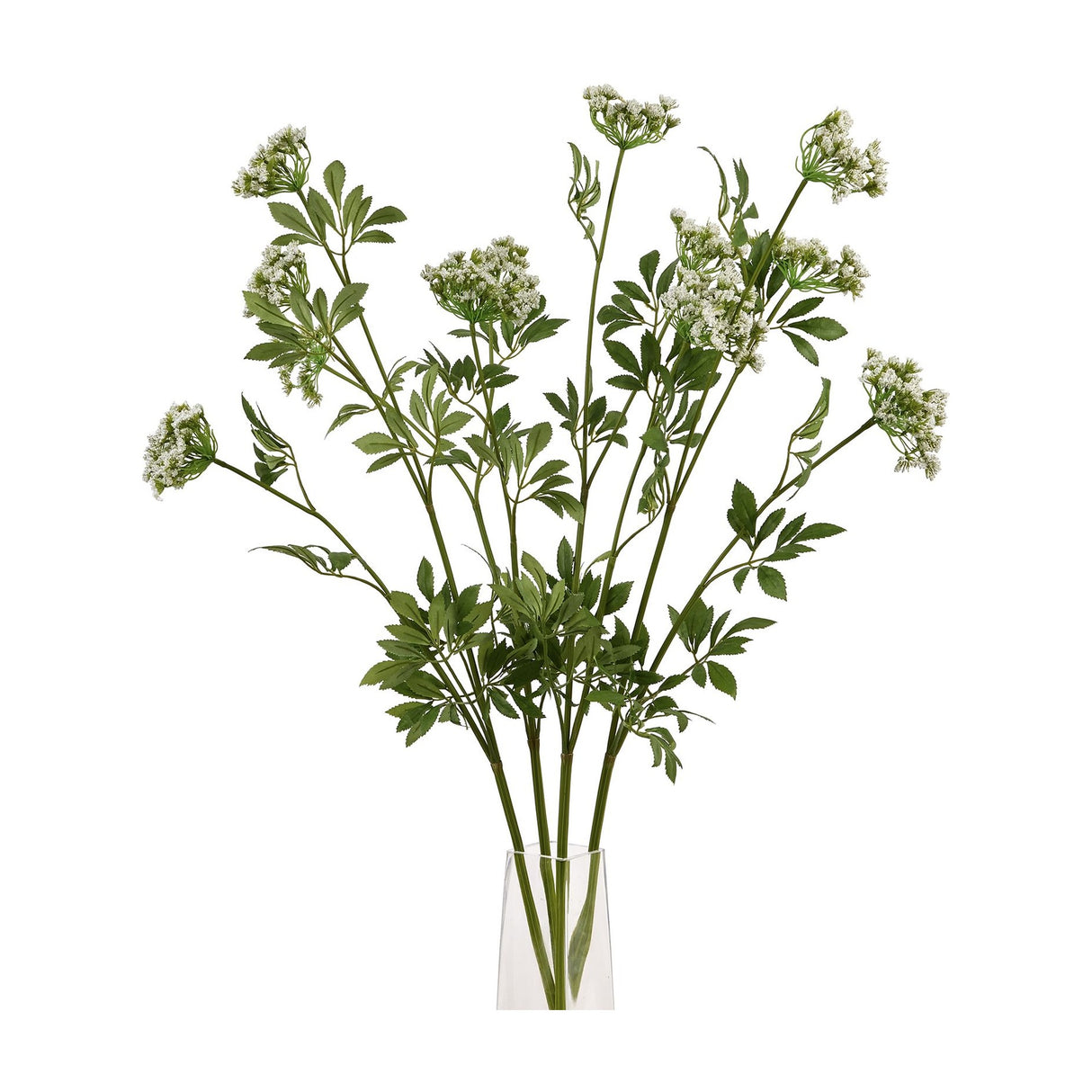 Hill Interiors Faux White Cow Parsley Ammi stems with tiny white florets and green foliage arranged in a clear glass vase against a white background.