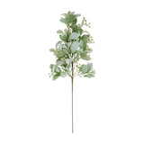 Hill Interiors large winter sprig with soft green lambs ear leaves and delicate wax flower sprays on a tall stem, shown against a plain white background.