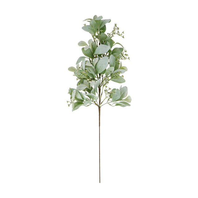 Hill Interiors large winter sprig with soft green lambs ear leaves and delicate wax flower sprays on a tall stem, shown against a plain white background.