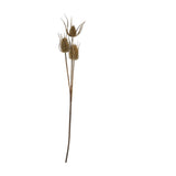 Hill Interiors Large Brown Triple Teasle Stem, an 85cm faux plant with three textured seed heads in warm brown tones on tall stalks, on a white background.