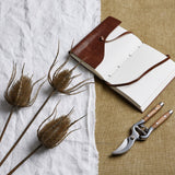Hill Interiors Large Brown Triple Teasle Stem with three spiky seed heads, styled on white linen beside a leather journal and wooden-handled secateurs.