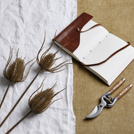 Hill Interiors Large Brown Triple Teasle Stem with three spiky seed heads, styled on white linen beside a leather journal and wooden-handled secateurs.