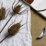 Hill Interiors Large Brown Triple Teasle Stems laid on white linen beside an open leather-bound notebook and metal pruning shears on hessian.