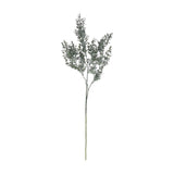 Hill Interiors Blackened Grass Spray Stem, a tall faux plant with slender branches and small dark green leaves fanning outward, shown on a white background.