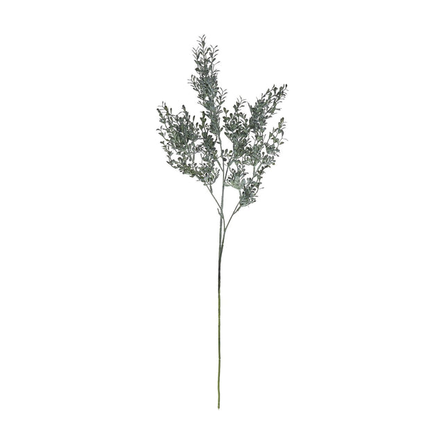 Hill Interiors Blackened Grass Spray Stem, a tall faux plant with slender branches and small dark green leaves fanning outward, shown on a white background.